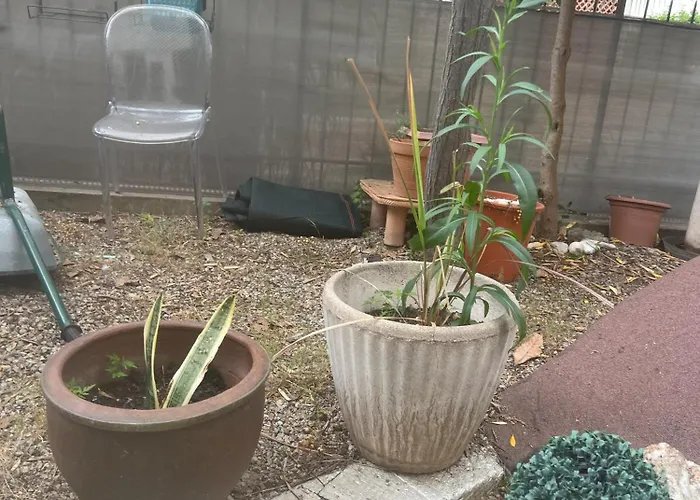 Sacre Coeur * 阿雅克肖