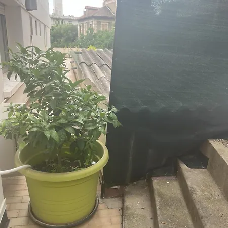 アパート Sacre Coeur